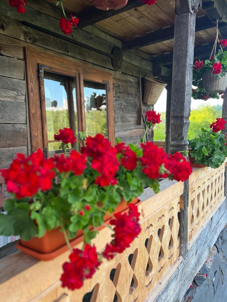 Casa Veche Breb Otel Dış mekan fotoğraf